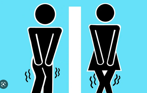 Nhịn tiểu. Thói quen nhịn tiểu có thể dẫn đến suy giảm chức năng thận, suy thận và nhiễm độc niệu. Nghiên cứu chỉ ra, nhịn tiểu quá lâu sẽ làm giảm lưu lượng máu ở thận. Từ đó, làm hỏng chức năng của cầu thận. Điều này lý giải vì sao người có thói quen nhịn tiểu chức năng thận kém. Thậm chí, thận sẽ teo lại, khiến bệnh nhân phải chạy thận nhân tạo suốt đời.