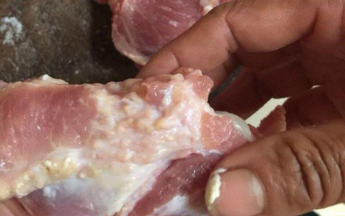 Thứ hai, cổ lợn chứa nhiều hạch bạch huyết. Hạch bạch huyết chứa lượng lớn các thực bào - tế bào bảo vệ cơ thể bằng cách ăn các hạt có hại, vi khuẩn và tế bào chết. Vì vậy, nó chứa nhiều vi khuẩn, virus, mầm bệnh nhất.