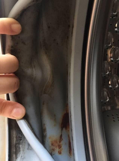 Máy giặt chứa nấm mốc khiến những lần giặt sau quần áo sẽ có mùi khó chịu, thậm chí gây dị ứng, ngứa ngáy cho người sử dụng. Hơi nước, nấm mốc cũng ảnh hưởng đến tuổi thọ của máy.