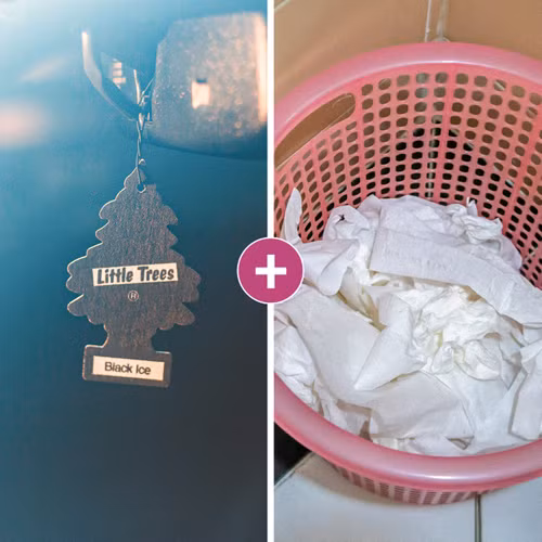 Để giữ nhà vệ sinh luôn thơm tho, bạn có thể sử dụng các loại tinh dầu treo ô tô. Những sản phẩm này có dây buộc, rất tiện dụng để treo trên cao. Bạn cũng có thể nhỏ một chút tinh dầu vào thùng rác. Mùi hương của tinh dầu sẽ lấn át mùi hôi của chất thải.