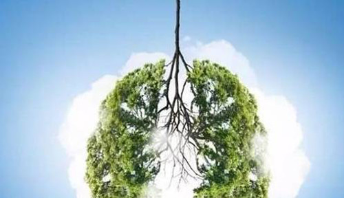 Ung thư phổi là “kẻ giết người” thầm lặng. Bệnh có tỷ lệ tử vong cao nhất trong số các loại ung thư. Điều đáng bàn, ung thư phổi rất khó nhận biết ở giai đoạn đầu, bệnh thường được phát hiện khi tình hình trở nặng. Dù vậy khi có vấn đề sức khỏe, phổi sẽ phát ra tín hiệu “cầu cứu”. (Ảnh: AerobicExercise, minh họa)