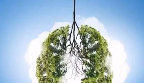 Ung thư phổi là “kẻ giết người” thầm lặng. Bệnh có tỷ lệ tử vong cao nhất trong số các loại ung thư. Điều đáng bàn, ung thư phổi rất khó nhận biết ở giai đoạn đầu, bệnh thường được phát hiện khi tình hình trở nặng. Dù vậy khi có vấn đề sức khỏe, phổi sẽ phát ra tín hiệu “cầu cứu”. (Ảnh: AerobicExercise, minh họa)