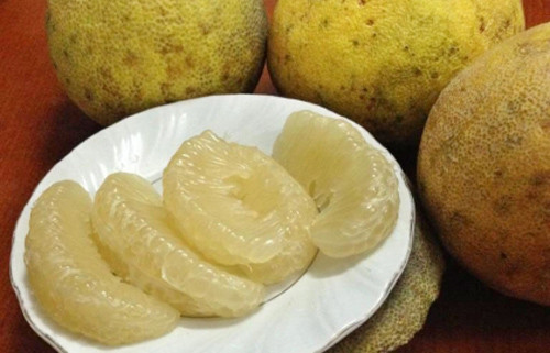 Bưởi Đoan Hùng. Bưởi Đoan Hùng chín rộ, thu hoạch tập trung từ mùa thu đến cuối năm. Tuy vậy nếu may mắn, bạn có thể được thưởng thức đặc sản bưởi Đoan Hùng khi trẩy hội Đền Hùng.