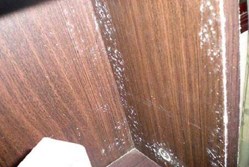 Tủ quần áo thường được thiết kế kín đáo nhằm tránh chuột, rán bò vào. Không gian không thông thoáng cùng với việc đôi khi chúng ta xếp quần áo chưa khô hoàn toàn khiến tủ dễ xuất hiện nấm mốc và có mùi khó chịu. (Ảnh: Thefamilybreeze, Boldsky, minh họa)