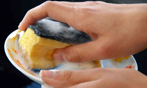 Miếng bọt biển rửa bát. Miếng bọt biển dùng rửa bát không sạch như chúng ta nghĩ.