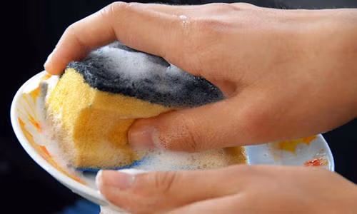 Miếng bọt biển rửa bát. Miếng bọt biển dùng rửa bát không sạch như chúng ta nghĩ.
