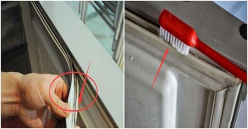 Đặc biệt, cửa tủ lạnh là vị trí ưa thích của nấm mốc. Khảo sát của Đại học Arizona cho thấy xác suất phát hiện nấm mốc trong vòng đệm của cửa tủ lạnh là 83%. Mỗi lần cửa tủ lạnh được mở, phạm vi phát triển của nấm mốc lại được lan rộng.