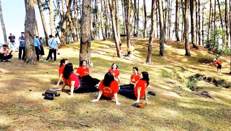 Check in rung thong Yen Minh - Thao nguyen xanh giua mien nui da-Hinh-2