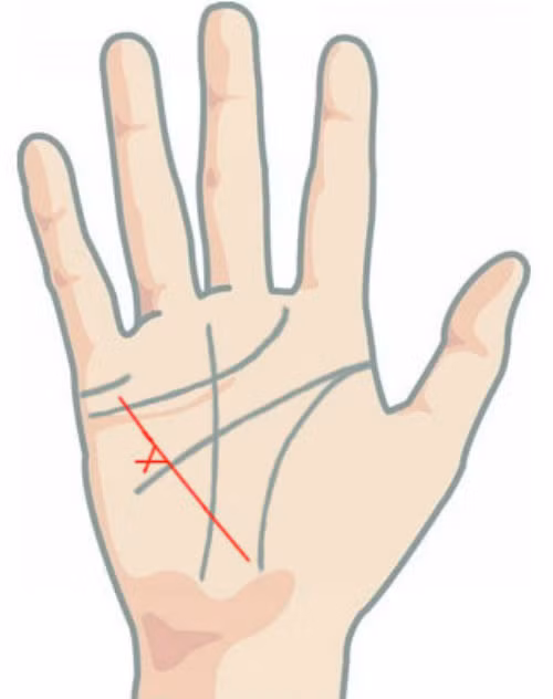 Hình chữ thập xuất hiện trên đường chỉ tay này có thể là dấu hiệu chủ nhân bị vấn đề nghiêm trọng về sức khỏe do tai nạn.