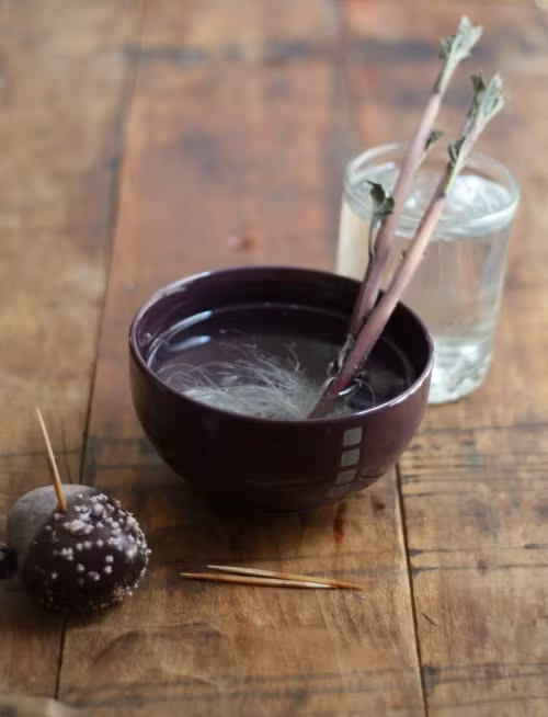 Khi mầm non đã mọc đủ cao thì tách ra khỏi củ và bắt đầu bước tiếp theo là phát triển cây con. Đặt phần rễ mầm chìm trong bát nước sạch để bộ rễ sinh trưởng hoàn thiện. Ảnh: caykieng.farmvina.com.