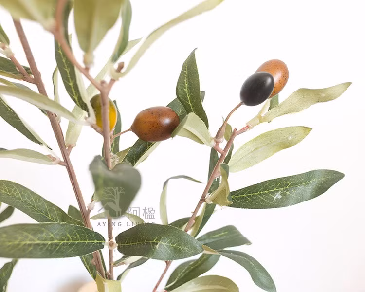 Hoa ô liu có cánh rời, nhỏ, màu trắng xanh. Ảnh: vi.aliexpress.com.