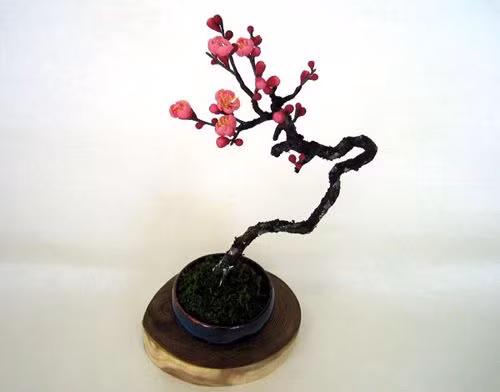 Đào mini có hình dáng nhỏ gọn, thường dùng đặt trên bàn uống nước. Ảnh: sinhvatcanh.com.vn