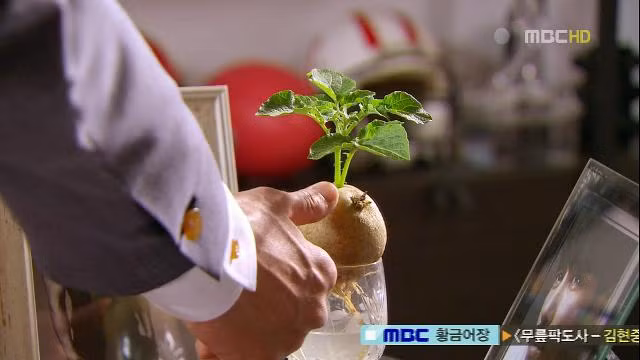 Để có tác phẩm nghệ thuật khoai tây bonsai này, người chơi không cần phải sử dụng bất kỳ một bí quyết cao siêu nào. Ảnh: 2sao.vn.