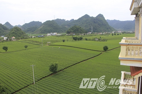 Từ tầng 7 tòa nhà nhìn ra những đồi chè... Ảnh: VTC News.