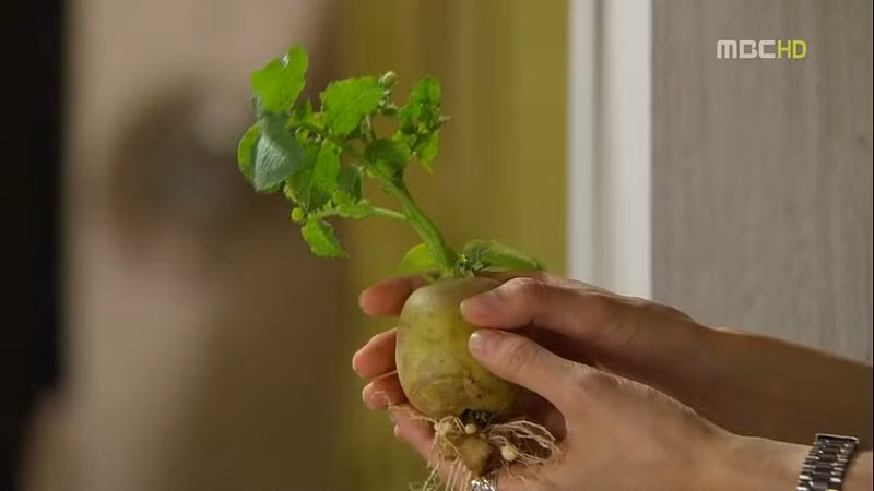 ... mà đôi khi nó còn là thú chơi của nhiều người. Ảnh: 2sao.vn.