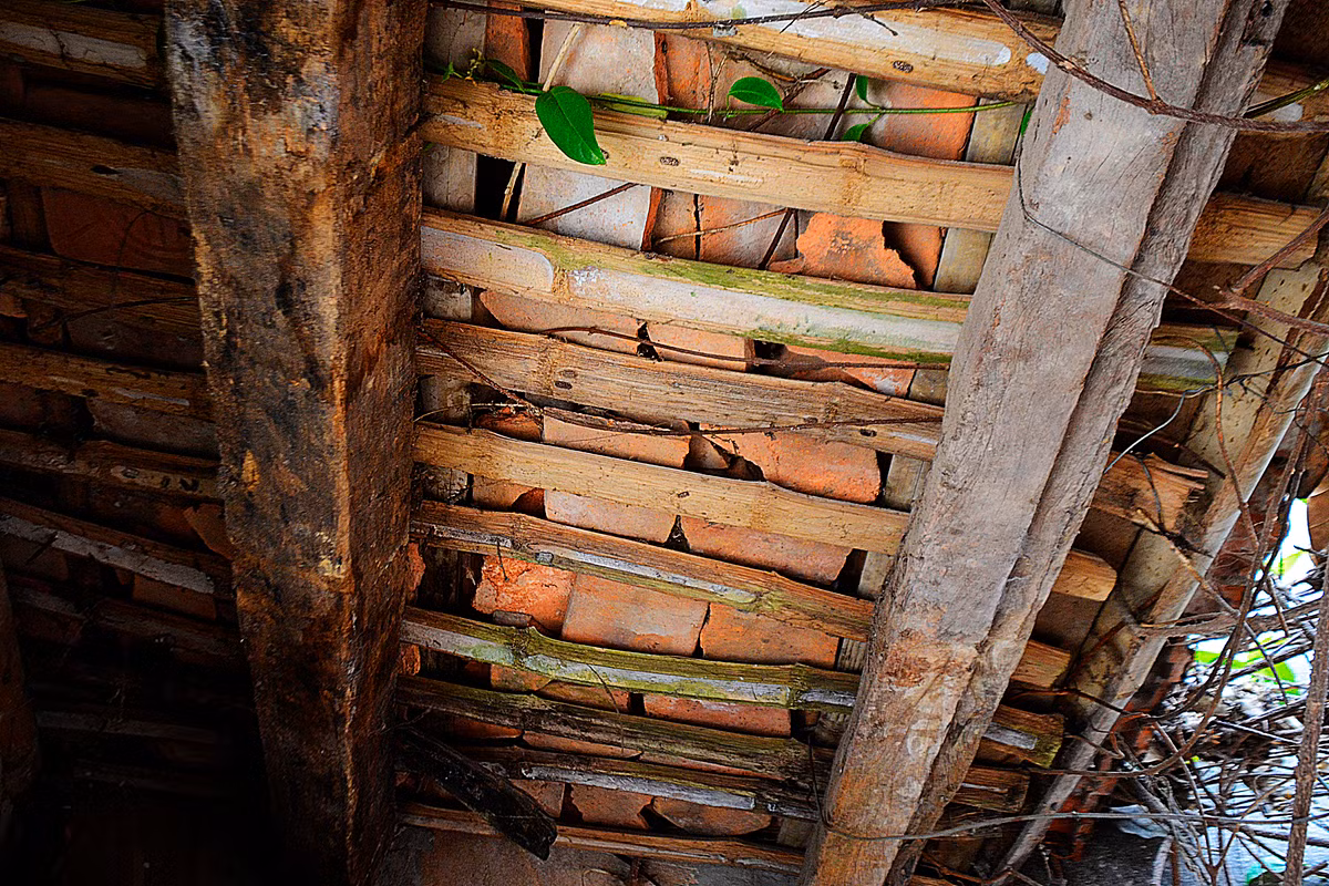 Mái ngói có dấu hiệu mục, cũ, nhạt màu...