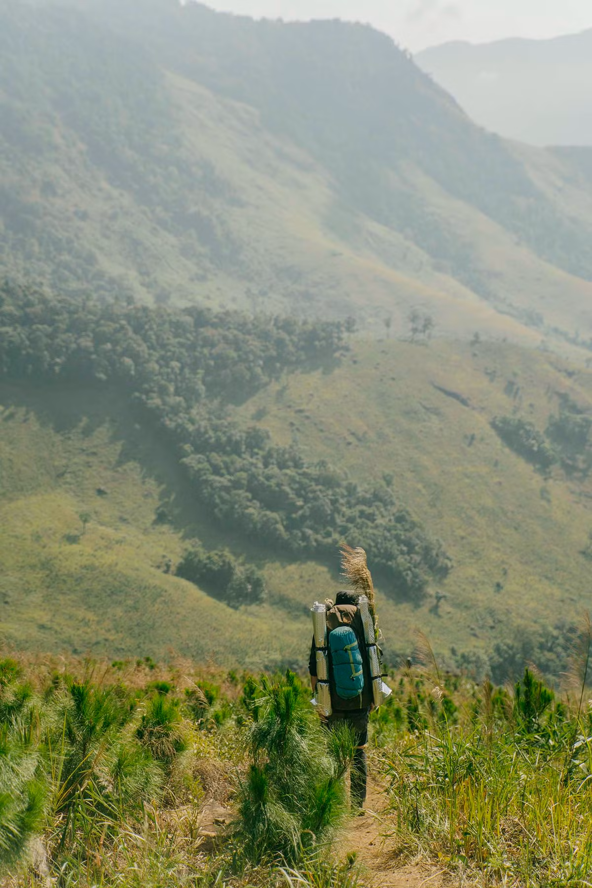 Qua khỏi rừng Bidoup, sẽ đến địa phận Vườn quốc gia Phước Bình. Ảnh: Nguyễn Đức Hiếu