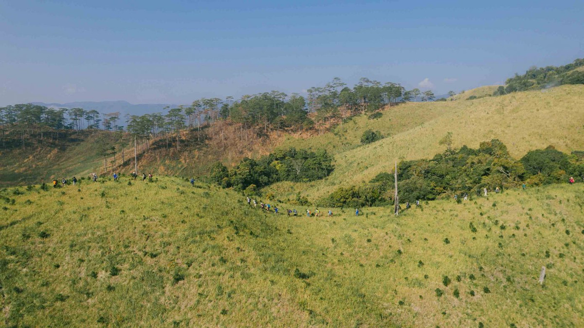 Giữa “chảo lửa” Ninh Thuận nắng nóng, nơi có lượng mưa thấp nhất cả nước, Vườn quốc gia Phước Bình hiện lên xanh mướt. Ảnh: DucHieu Media