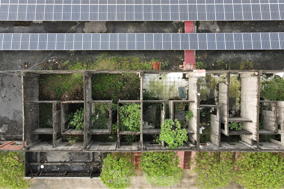 Hồ sơ Công thương Miền Trung “ôm” gần 10.000m2 đất bỏ hoang - Hình 2 Ho so Cong thuong Mien Trung “om” gan 10.000m2 dat bo hoang-Hinh-2