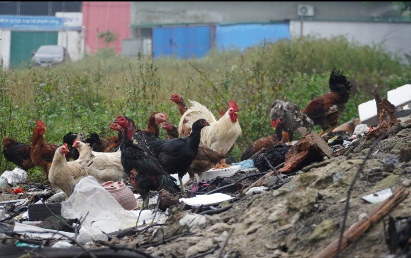 Hồ sơ Công thương Miền Trung “ôm” gần 10.000m2 đất bỏ hoang - Hình 4 Ho so Cong thuong Mien Trung “om” gan 10.000m2 dat bo hoang-Hinh-4