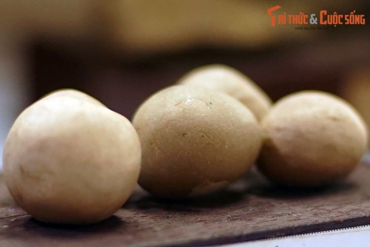 Bi đá tự nhiên được thu thập ở Cù Lao Rùa, Đồng Nai năm 1971, mẫu vật của Bảo tàng Địa chất TP. HCM.