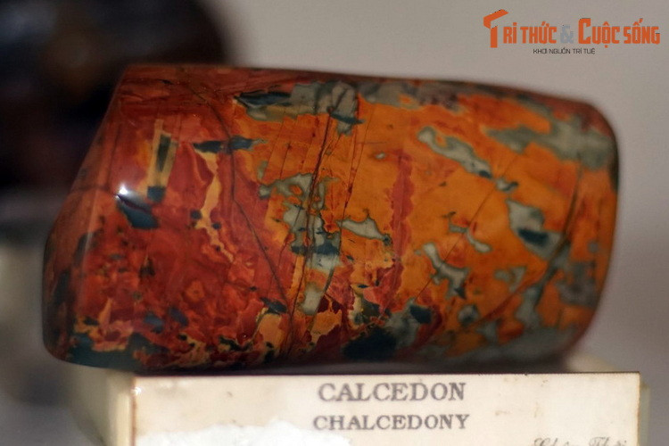 Mẫu chalcedony có màu đỏ cam bắt mắt, thu thập ở núi Châu Thới, Bình Dương. Canxedon là một dạng ẩn tinh của silica, gồm rất nhiều hạt thạch anh và moganit rất nhỏ mọc xen kẽ, có giá trị như đá quý.