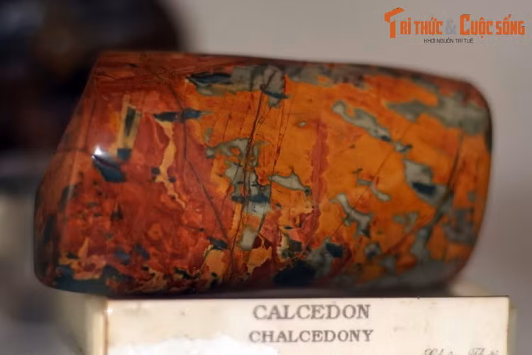 Mẫu chalcedony có màu đỏ cam bắt mắt, thu thập ở núi Châu Thới, Bình Dương. Canxedon là một dạng ẩn tinh của silica, gồm rất nhiều hạt thạch anh và moganit rất nhỏ mọc xen kẽ, có giá trị như đá quý.