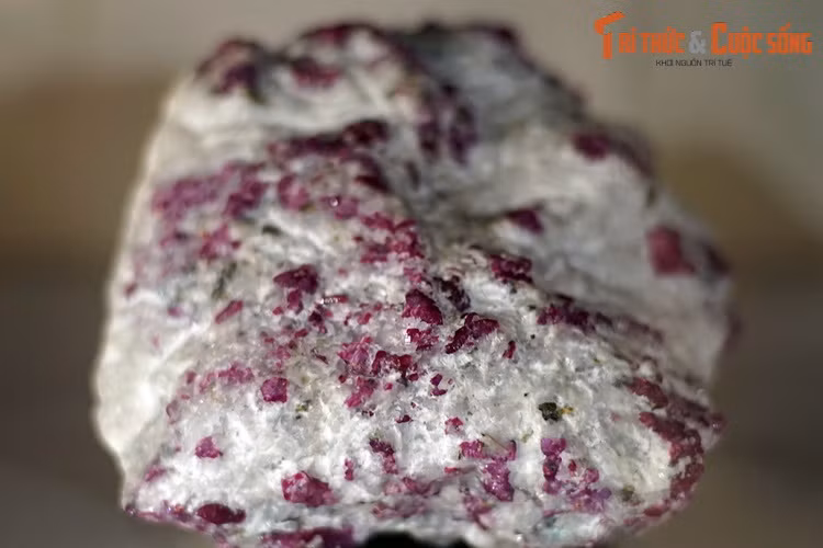 Mẫu đá hoa chứa hồng ngọc, thu thập ở Lục yên, Yên Bái. Hồng ngọc là dạng màu đỏ của khoáng vật corundum, là một trong những loại đá quý có giá trị cao nhất.