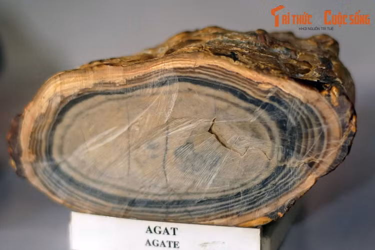 Mặt cắt có vân đồng tâm của một khối agate thu thập ở Lâm Đồng. Agate hay đá mã não là một biến thể dạng vi kết tinh của thạch anh, chủ yếu là canxedon, đặc trưng bởi các hạt mịn và màu sáng, thường tạo thành các đường vân rõ nét.