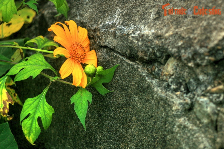 Vào năm 2002, pháo đài Đồng Đăng được công nhận là di tích lịch sử của tỉnh Lạng Sơn.