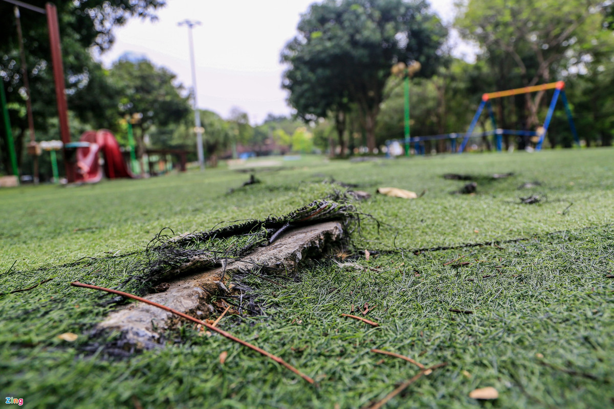 Trên thảm cỏ nhân tạo có nhiều vị trí bị rách, bong tróc mảng lớn. Các miếng bê tông cứng bị lồi lên tạo thành bẫy nguy hiểm.