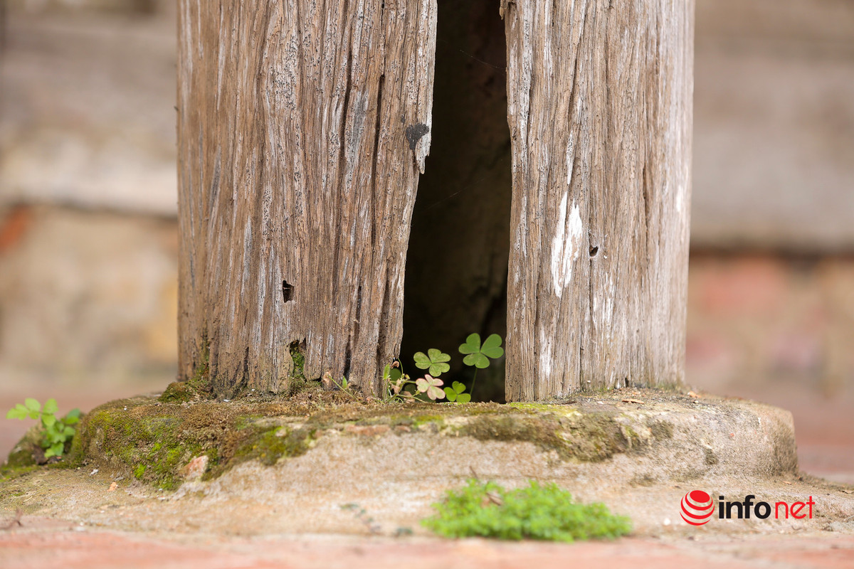 'Tôi hy vọng chùa được tu sửa càng sớm càng tốt, để chúng tôi có nơi đến lễ chùa, niệm Phật', một Phật tử bày tỏ sự sốt ruột khi nhìn ngôi chùa của làng trong tình trạng chờ sập.