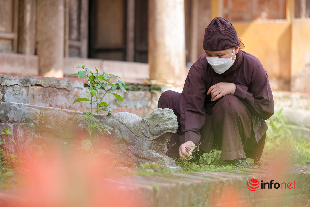 Cỏ mọc tươi tốt trên nền đất ẩm.