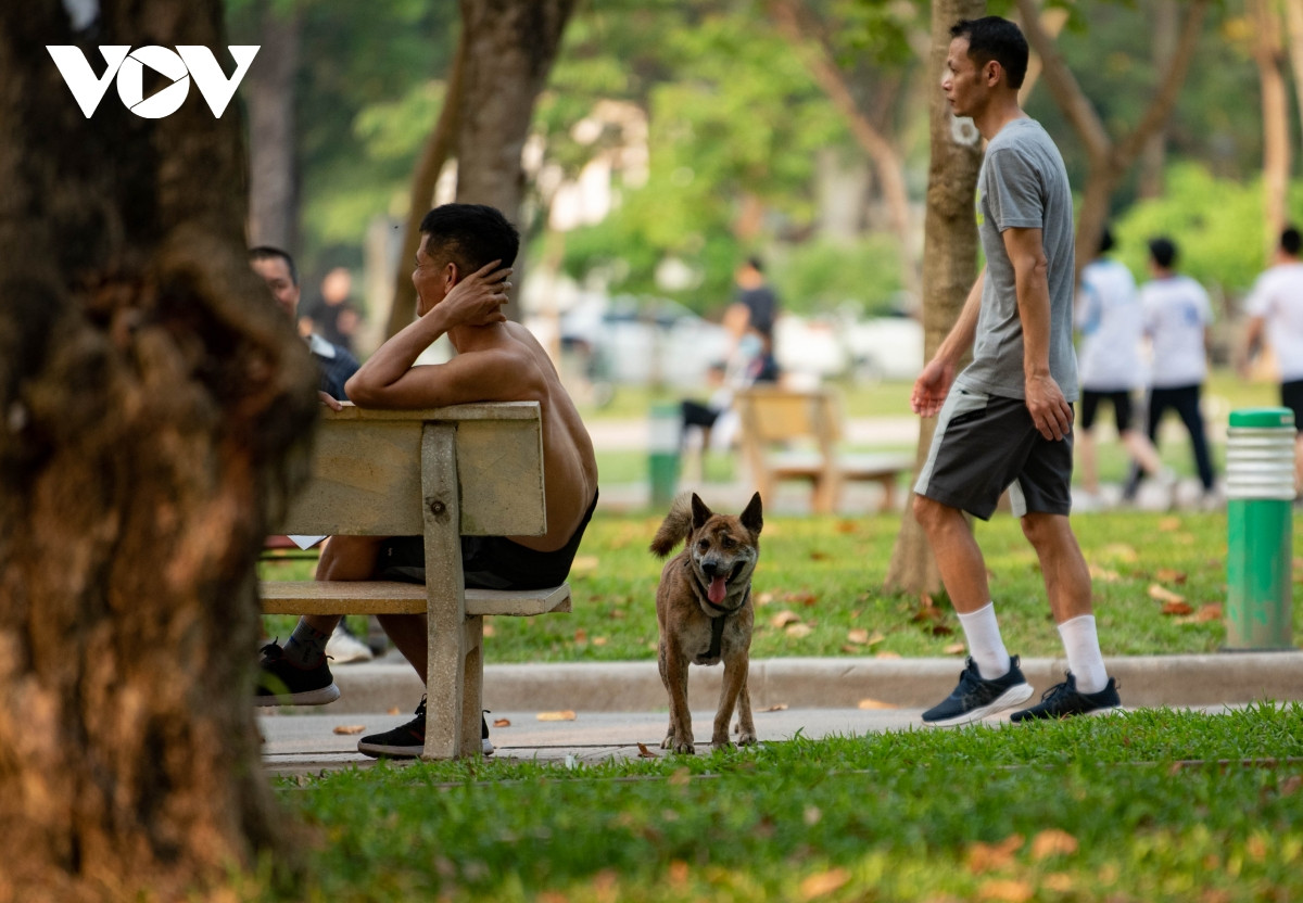 Kế hoạch này yêu cầu người dân khai báo việc nuôi chó mèo với UBND cấp xã; cam kết xích, nhốt trong khuôn viên gia đình; bắt buộc rọ mõm, đeo xích khi đưa thú nuôi ra không gian công cộng; tiêm vaccine phòng dại định kỳ.