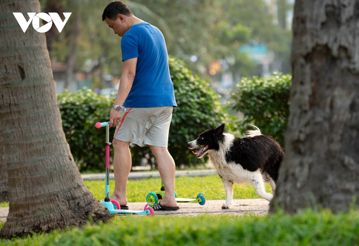 Trường hợp chủ nuôi không tiêm phòng bệnh dại cho chó, mèo cũng chịu mức phạt tương tự như trên.