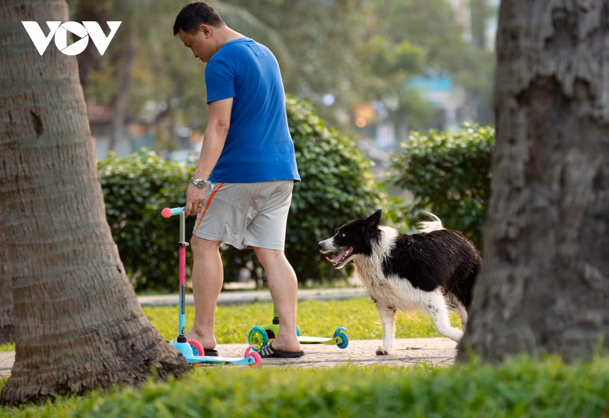 Trường hợp chủ nuôi không tiêm phòng bệnh dại cho chó, mèo cũng chịu mức phạt tương tự như trên.