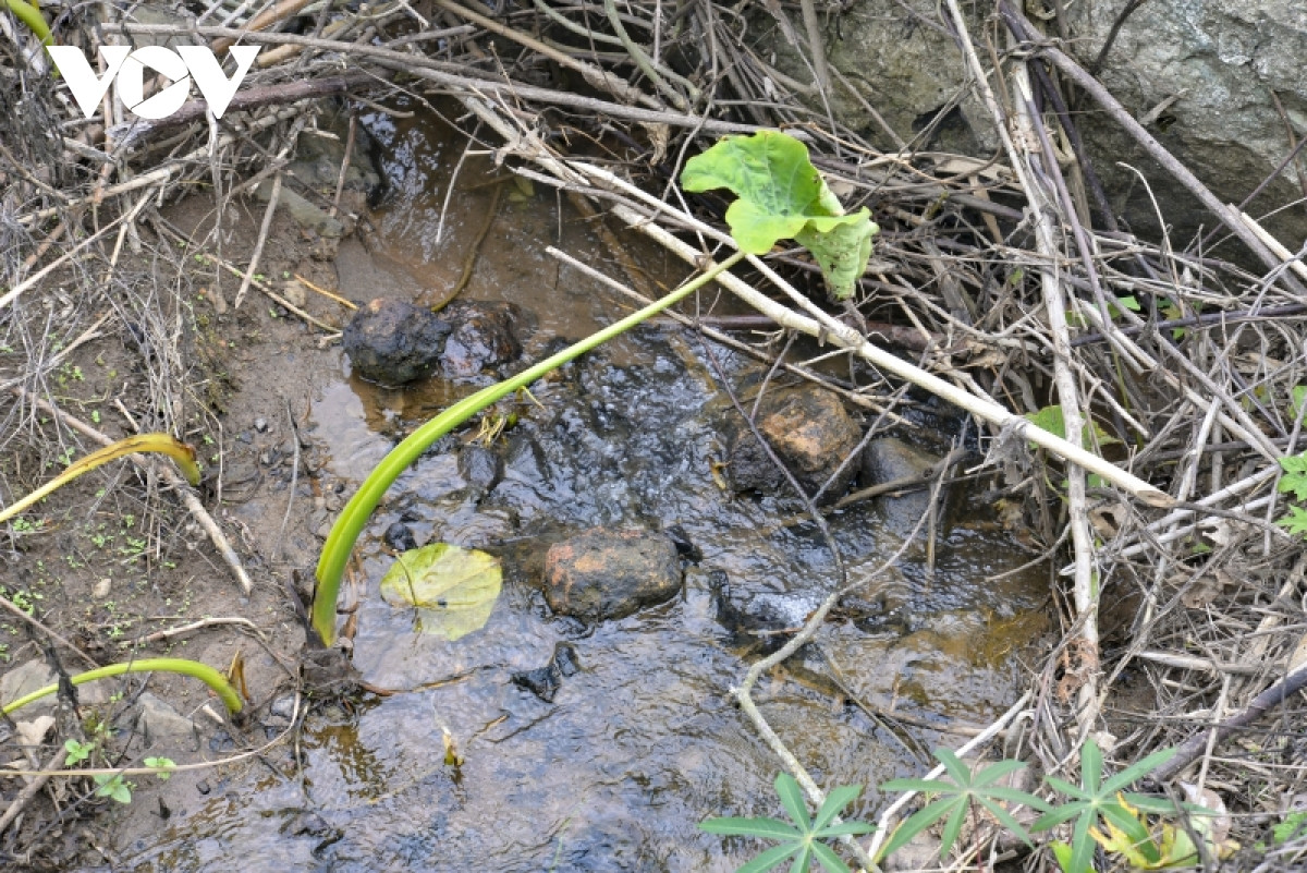 Màu nước và những dấu hiệu bất thường màu sắc trên các tảng đá tại các khe suối nơi bị vứt nhiều bao bì thuốc trừ cỏ.