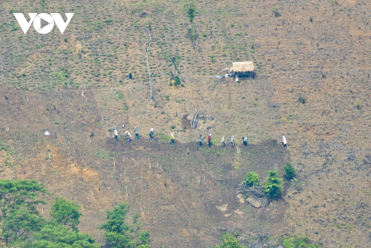 Việc sử dụng tràn lan, lạm dụng thuốc trừ cỏ gióng lên hồi chuông cảnh báo về tình trạng ô nhiễm môi trường.