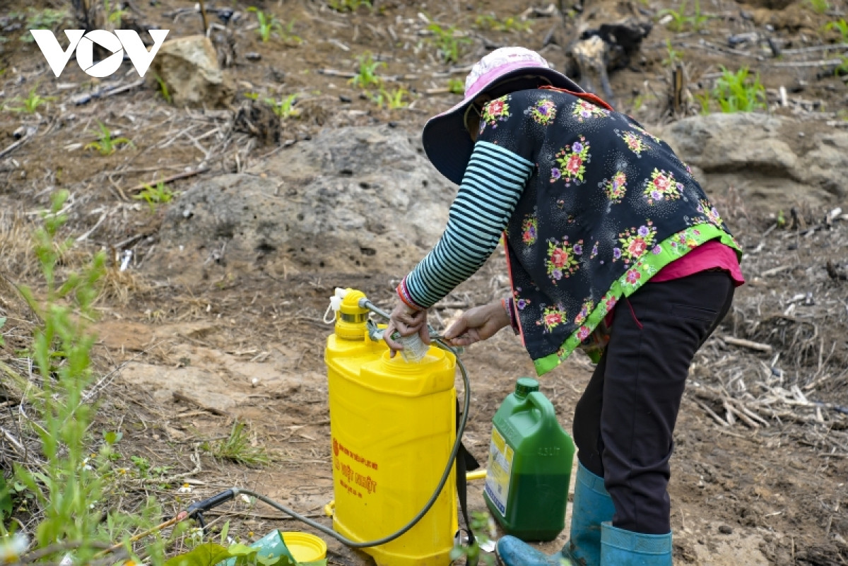 Sau khi đổ thuốc vào bình...