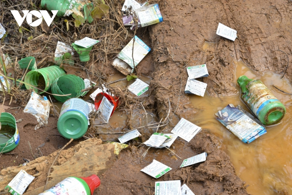 Rất nhiều tại các khu vực khe suối, đầu nguồn nước.