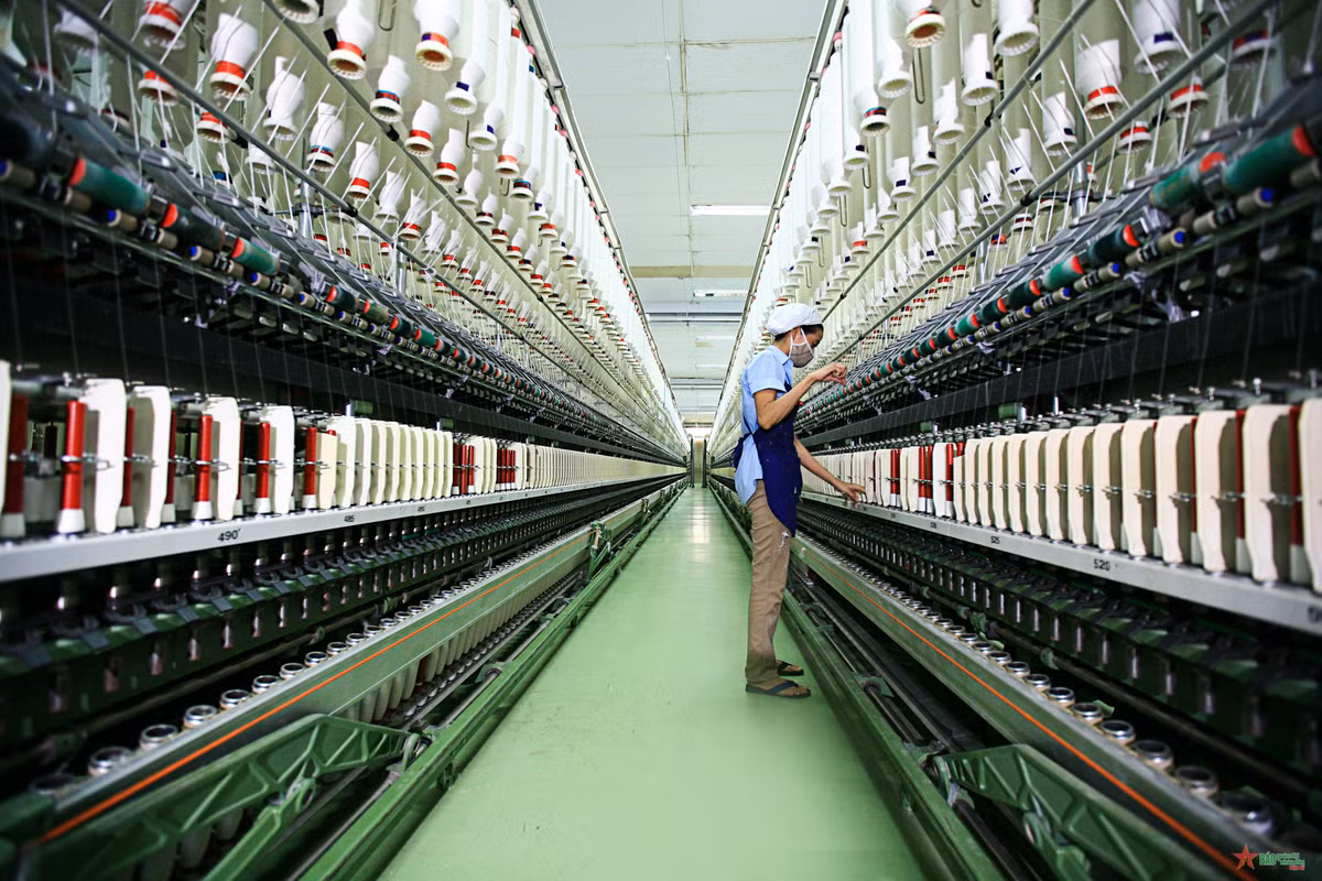 Trong tiếng máy reo. 