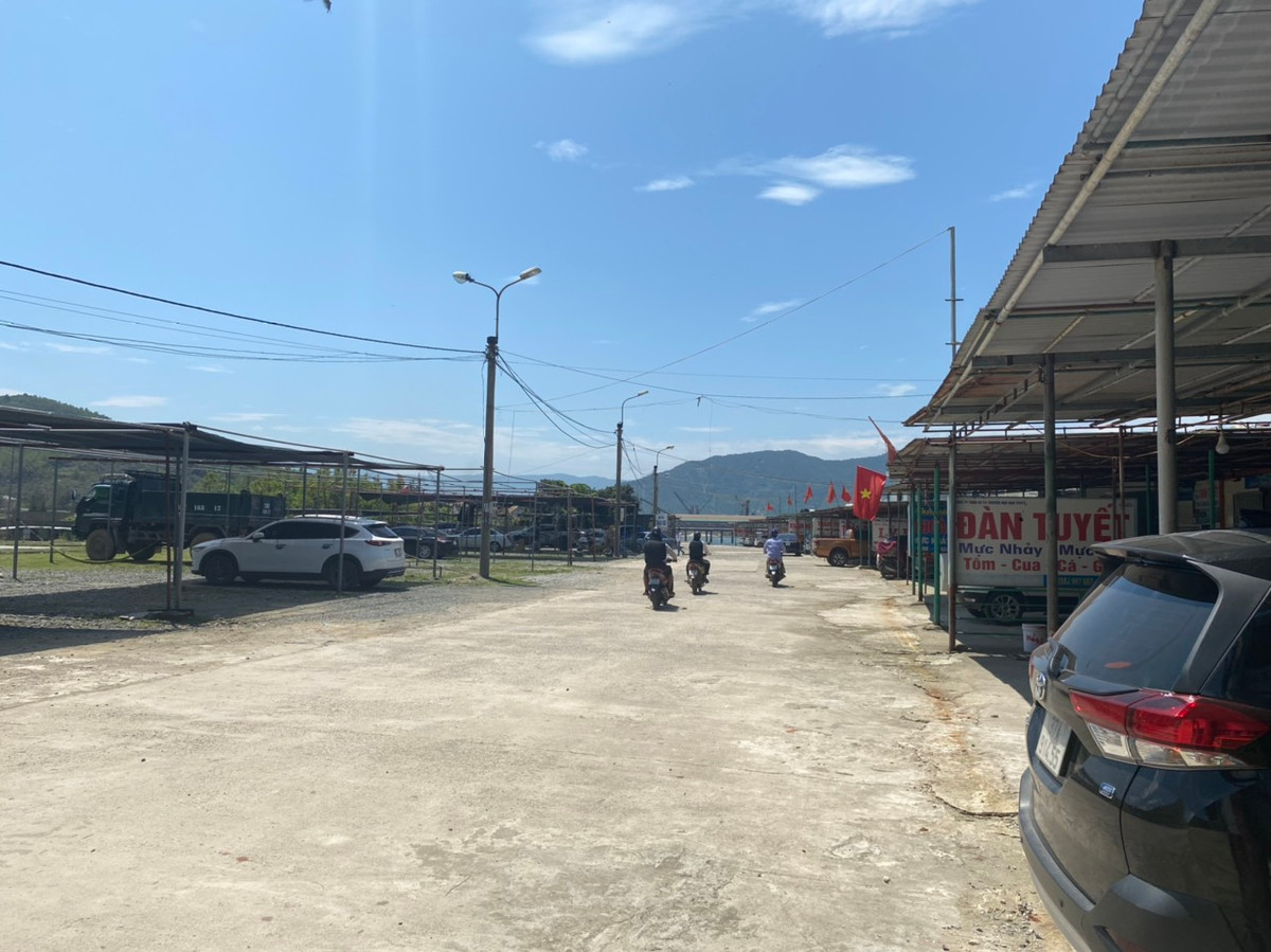 Chiêm ngưỡng mực nhảy Vũng Áng món ngon nức tiếng ở Hà Tĩnh - Hình 6 Chiem nguong muc nhay Vung Ang mon ngon nuc tieng o Ha Tinh-Hinh-6