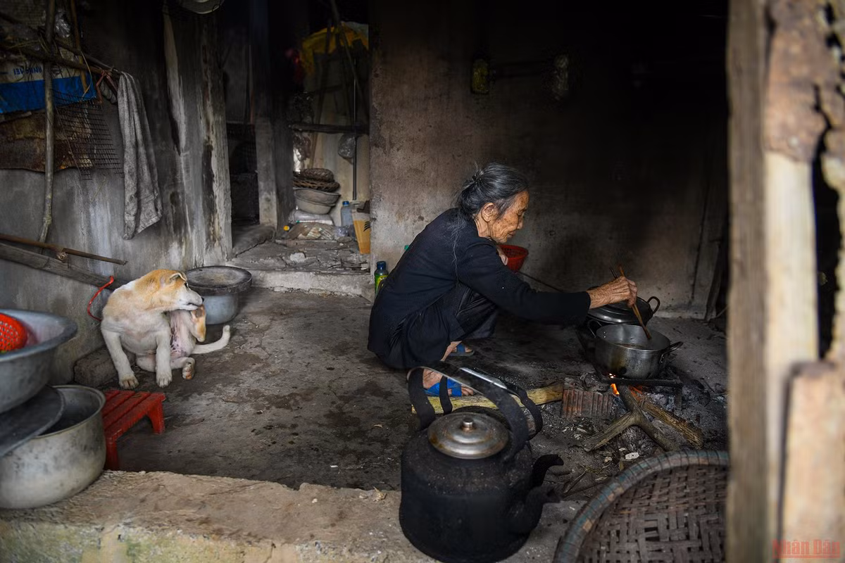 Nhung moi tinh doi bo vi tuyen-Hinh-2