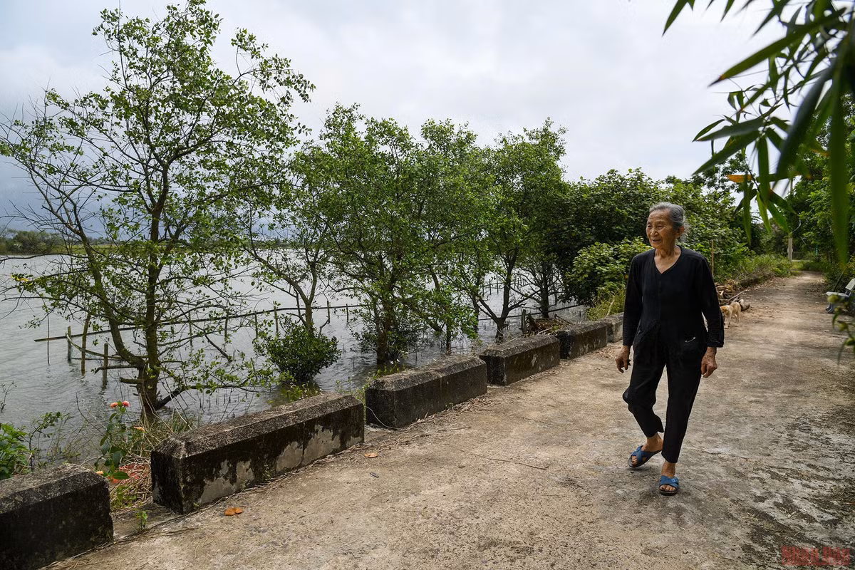 Nhung moi tinh doi bo vi tuyen-Hinh-4