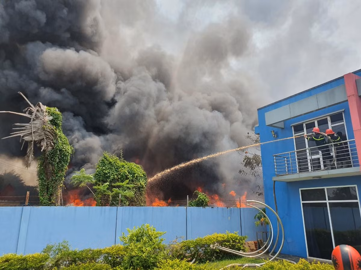 Chay kinh hoang cum cong nghiep Nhon Binh, Binh Dinh-Hinh-2