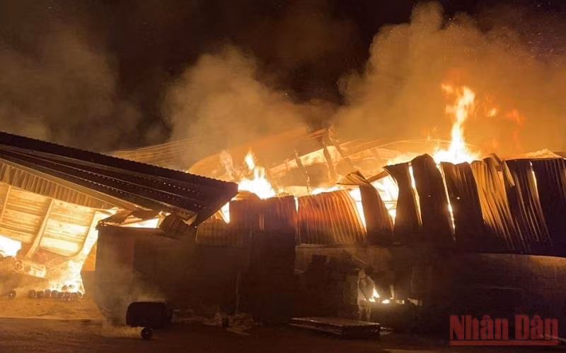 Tin sang 26/4: Chay lon tai Nha may soi, Cum cong nghiep Phu Cuong