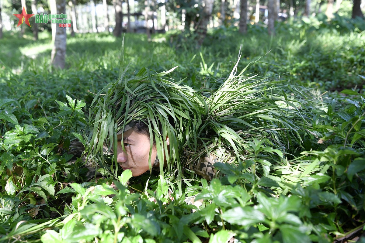 Ngụy trang “áo cỏ”.