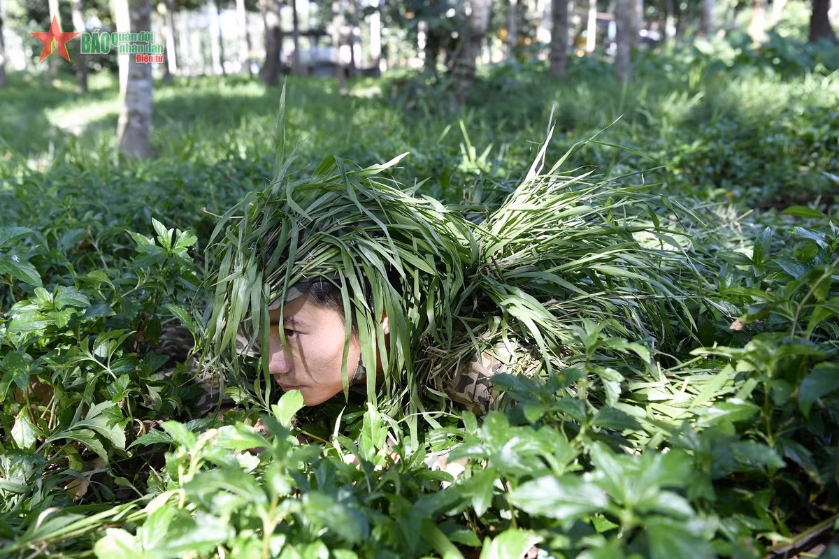Ngụy trang “áo cỏ”.