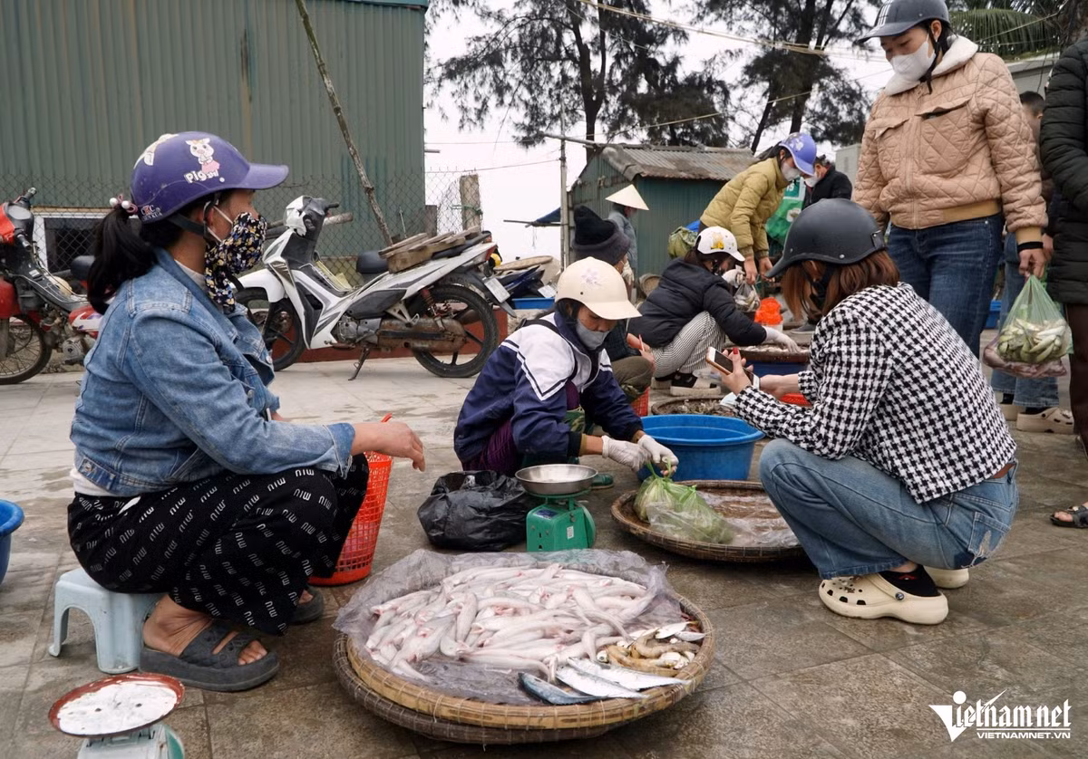 Ngu dan Thanh Hoa trung dam “loc bien” ban gia ca trieu dong-Hinh-2