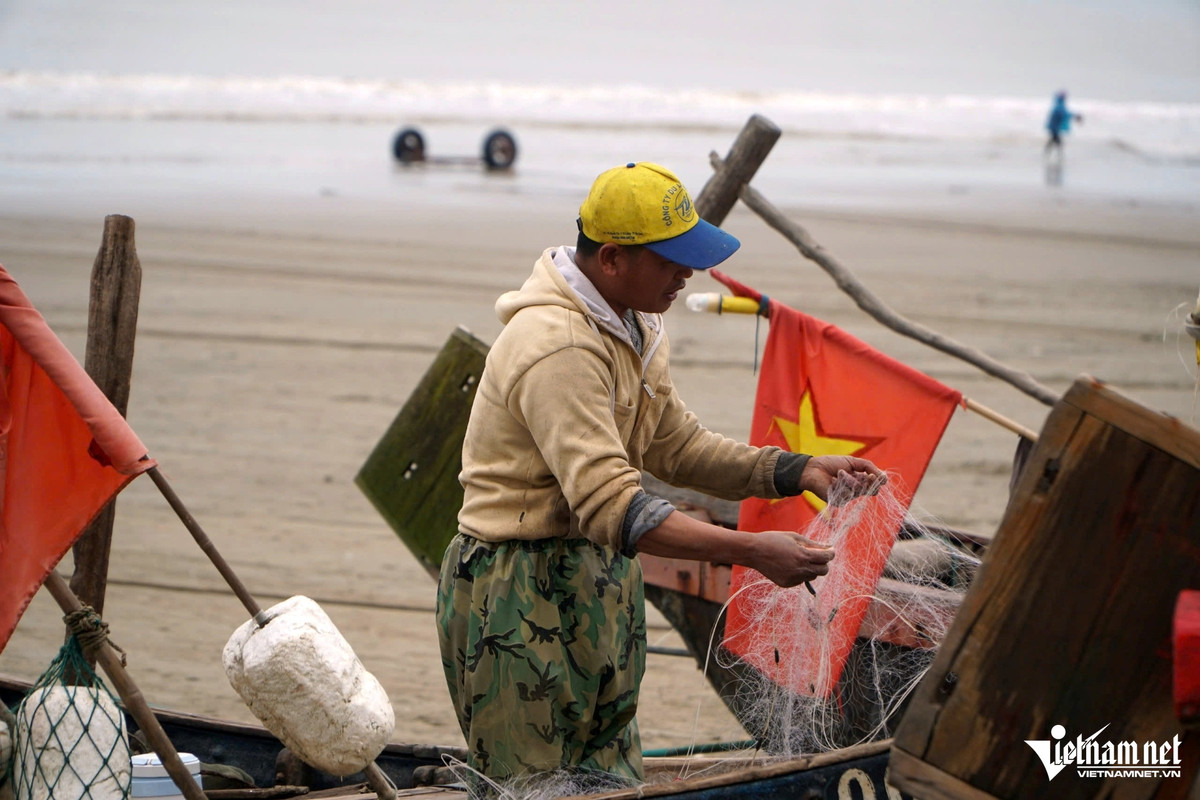 Ngư dân Thanh Hóa trúng đậm “lộc biển” bán giá cả triệu đồng Ngu dan Thanh Hoa trung dam “loc bien” ban gia ca trieu dong